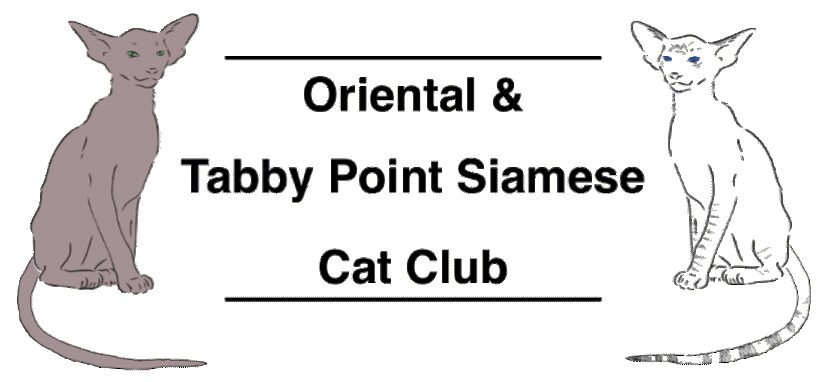 Oriental & Tabby Point Siamese Cat Club