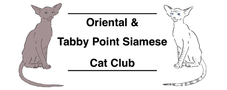 Oriental & Tabby Point Siamese Cat Club